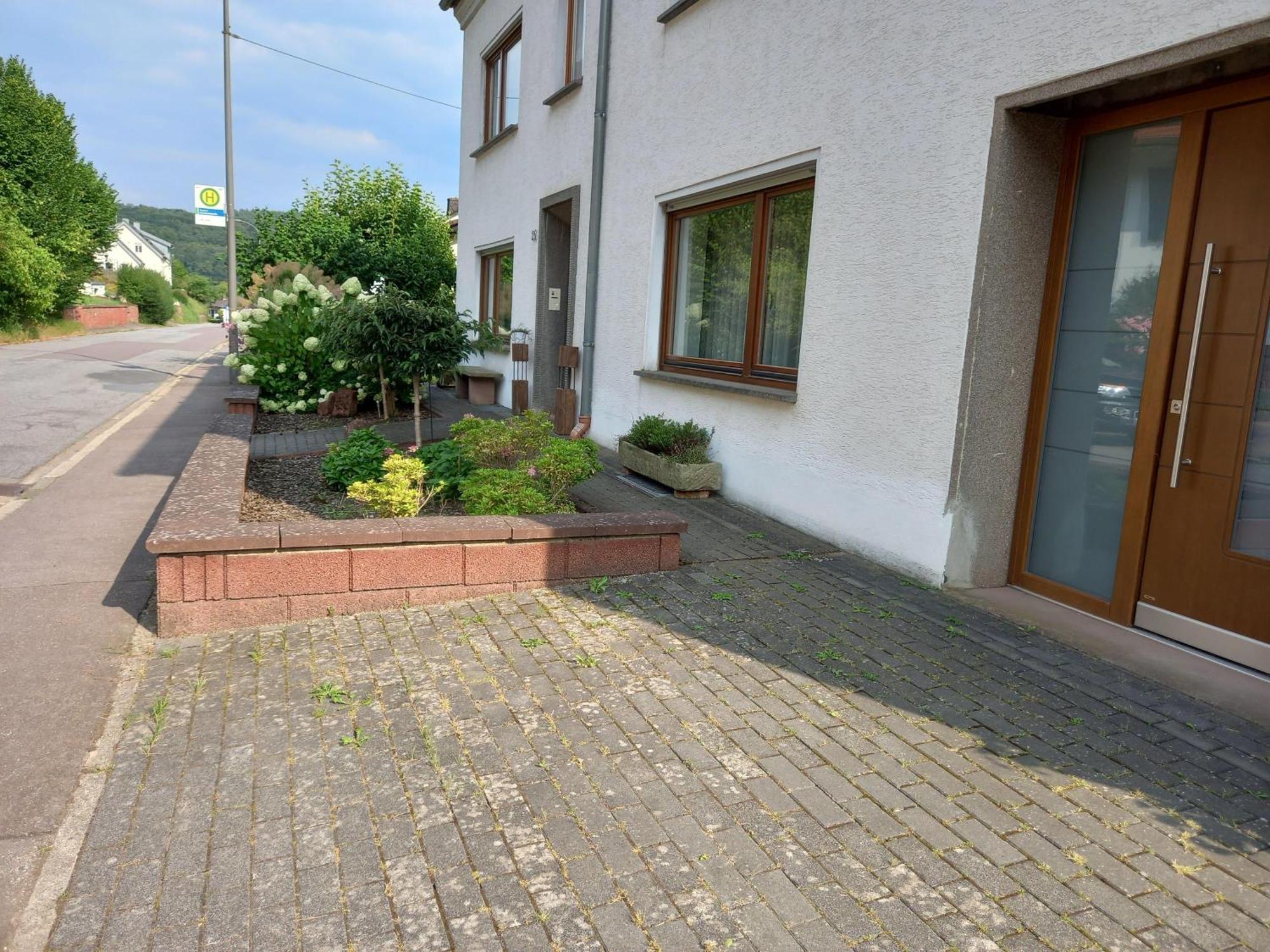 Ferienwohnung Waldblick Trassem Extérieur photo